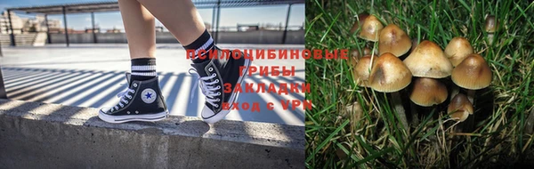 дживик Струнино