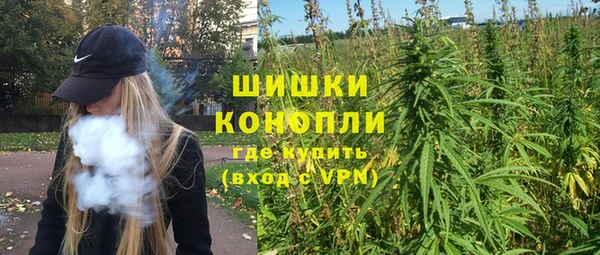 дживик Струнино