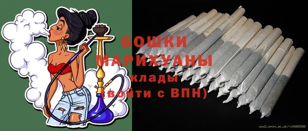 PSILOCYBIN Новокубанск